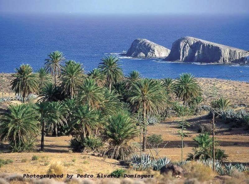 Isleta Del Moro Daniel Lejlighed La Isleta del Moro Eksteriør billede